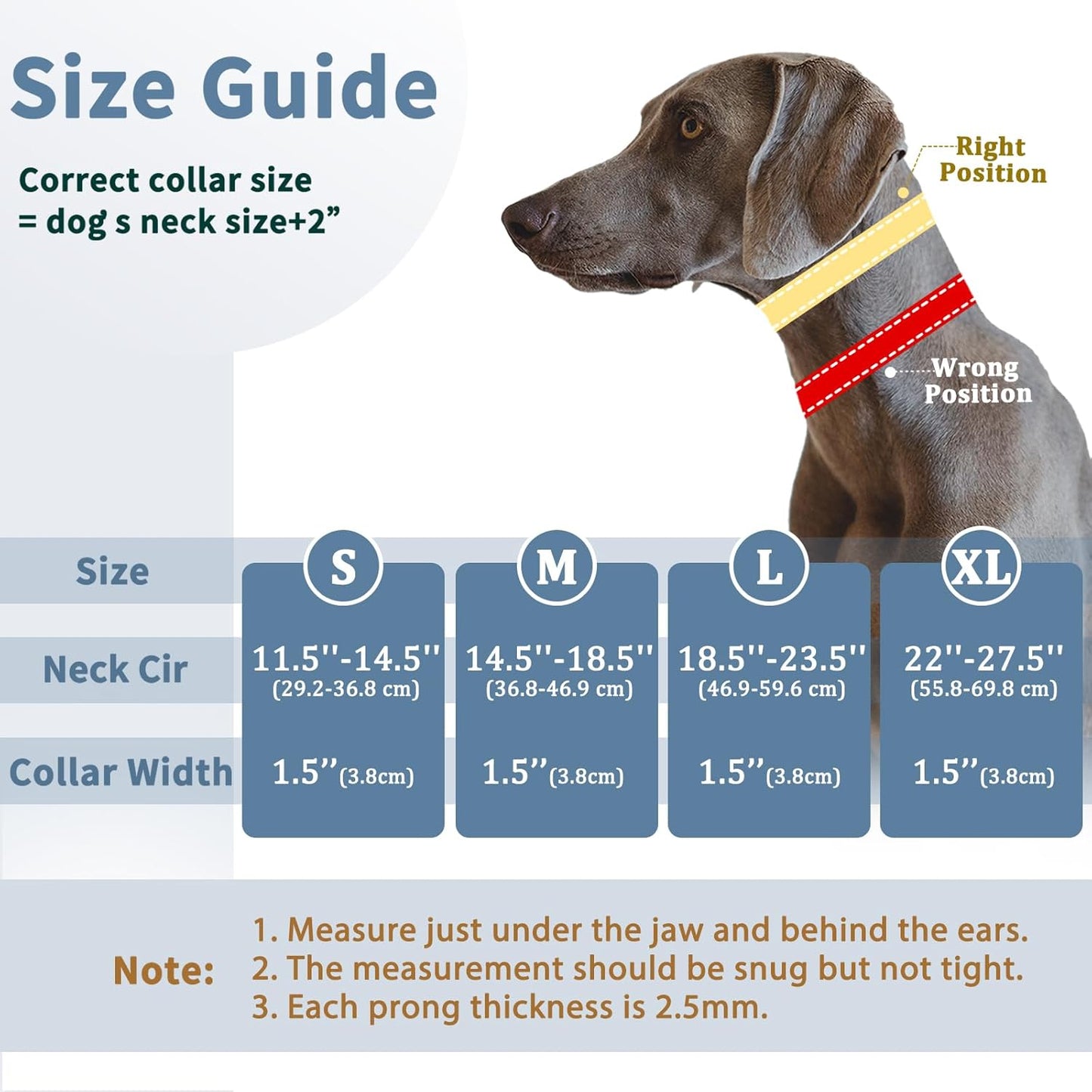 No Pull Dog Collar, Patented Martingale Collar for Small Medium Large Dogs with Buckle and Heavy Duty Nylon for Walking Training Hunting, Safe and Easy to Use(M, Green)
