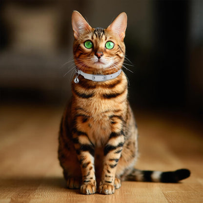 Rolled Leather Cat Collar with Bell, Reflective Kitten Collars with Buckle Include Safety Elastic Strap - Adjustable Small Pet Collars for Boy Girl Cats (White)