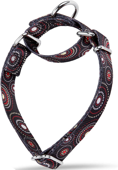 Martingale Dog Collar No Pull Pet Collar Heavy Duty Dog Martingale Collars Silky with Unique Geometric Pattern for Medium and Large Dogs (Large, Turquoise)