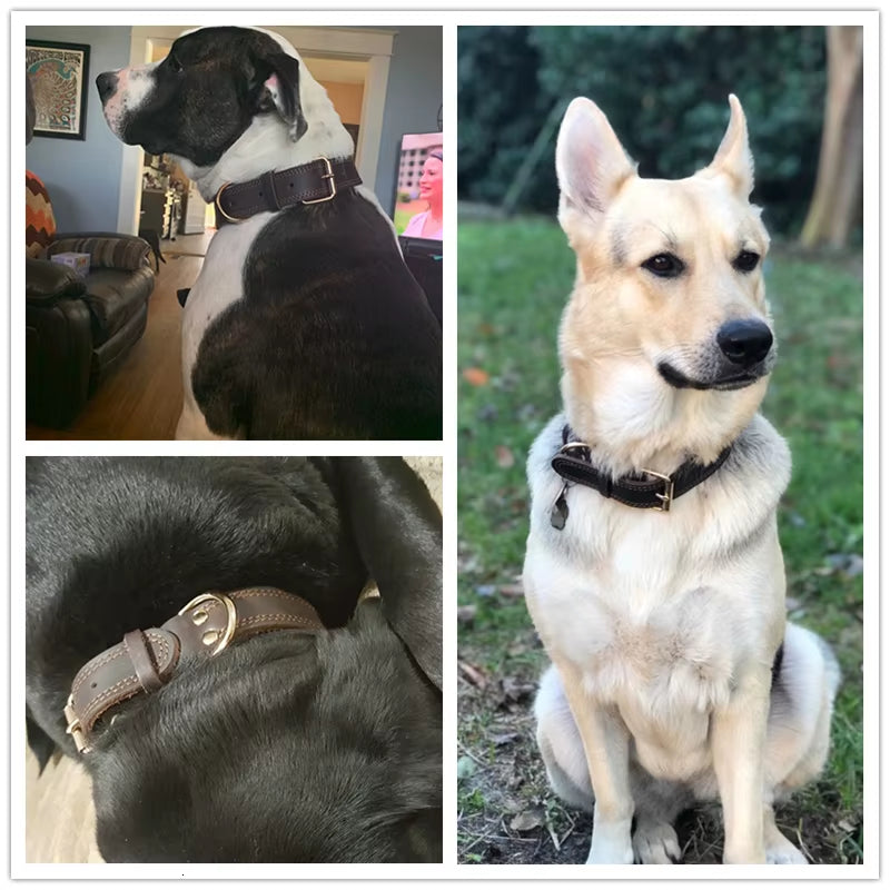 Quality Genuine Leather Dog Collar Durable Vintage Heavy-Duty Rustproof Double D-Ring Pet Collar for Medium Large Dogs