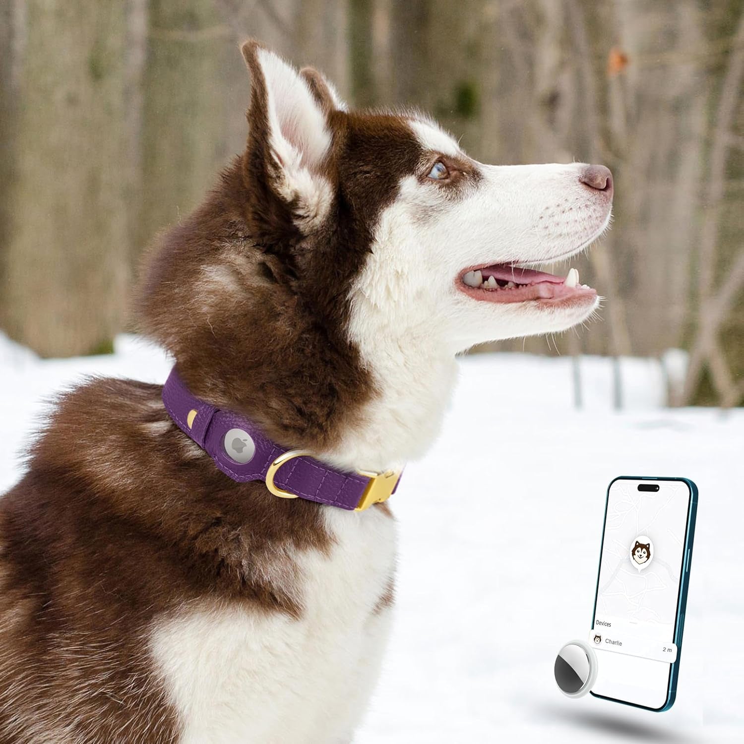 Leather Airtag Dog Collar - Soft Tracking Dog Collar with Apple Airtag Holder and Metal Buckle - Safety GPS Pet Collars for Small Medium Large Dogs Puppy Pink Red (Purple, XS, 9"-12" Neck Fit)