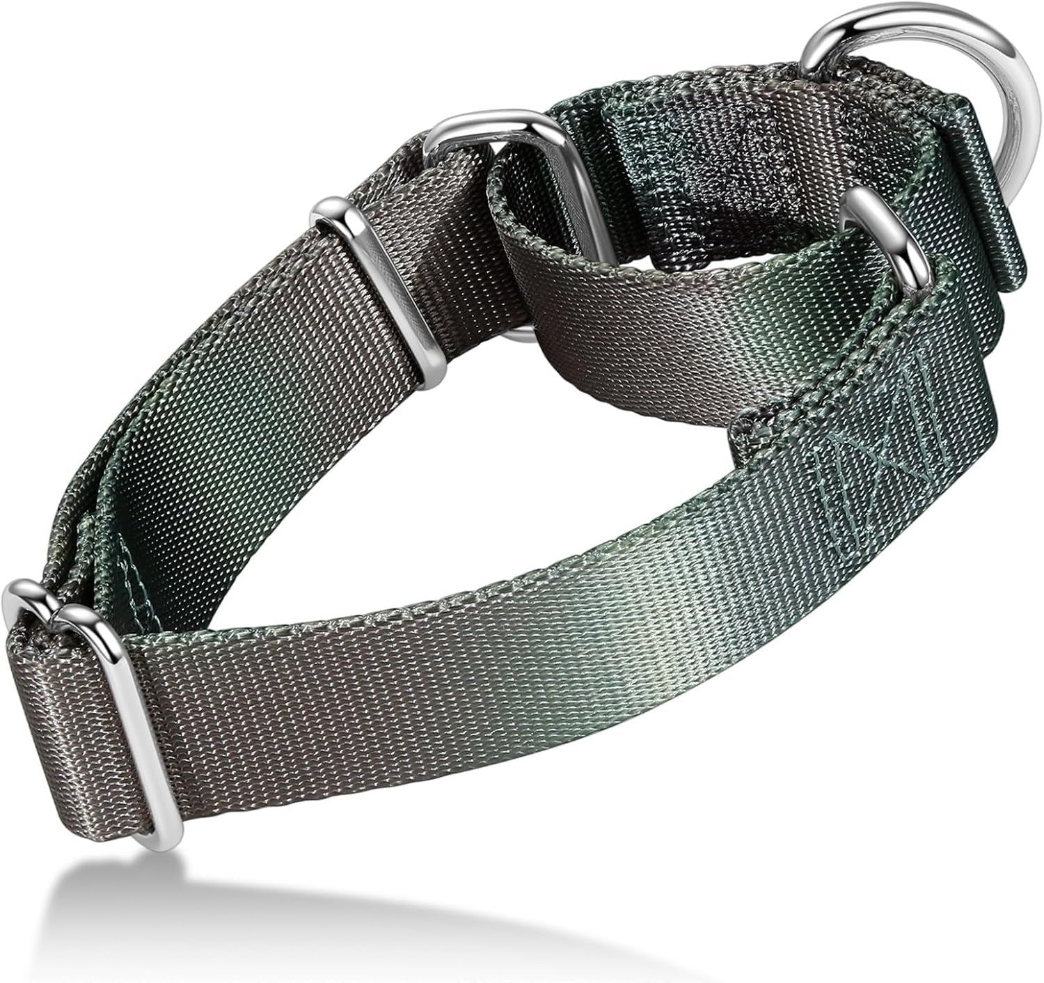 Martingale Dog Collar Colorful Gradient Fashionable - Anti-Escape Soft Durable Pets Collar for Walking Training Outdoor Daily Use -Medium,Turquoise Gradient