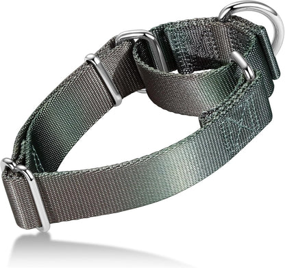 Martingale Dog Collar Colorful Gradient Fashionable - Anti-Escape Soft Durable Pets Collar for Walking Training Outdoor Daily Use -Medium,Turquoise Gradient