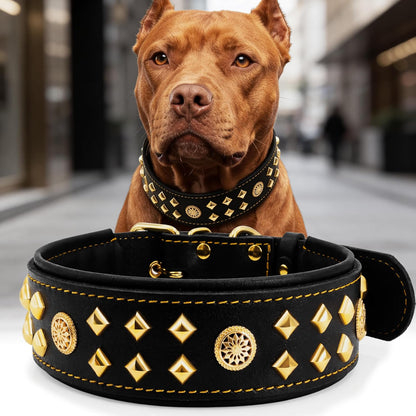Eliteguard Genuine Leather Dog Collar, 2.2-Inch Handmade Studded with Stainless Steel Buckle, Daily Wear for Large Dogs, Brown 14-18.5 In