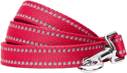 Essentials Durable Pastel Color Reflective Dog Leash, 5 Ft X 3/4", Baby Blue, Medium, Leashes for Dogs