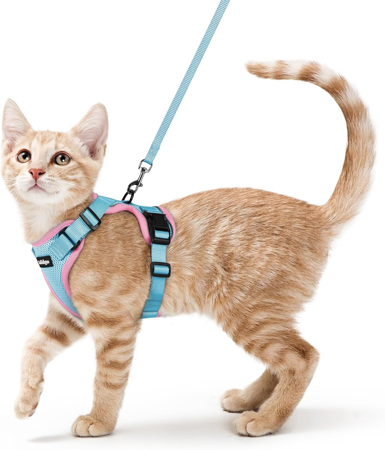 Cat Harness and Leash for Walking, Escape Proof Soft Adjustable Vest Harnesses for Cats, Easy Control Breathable Reflective Strips Jacket, Black, XS