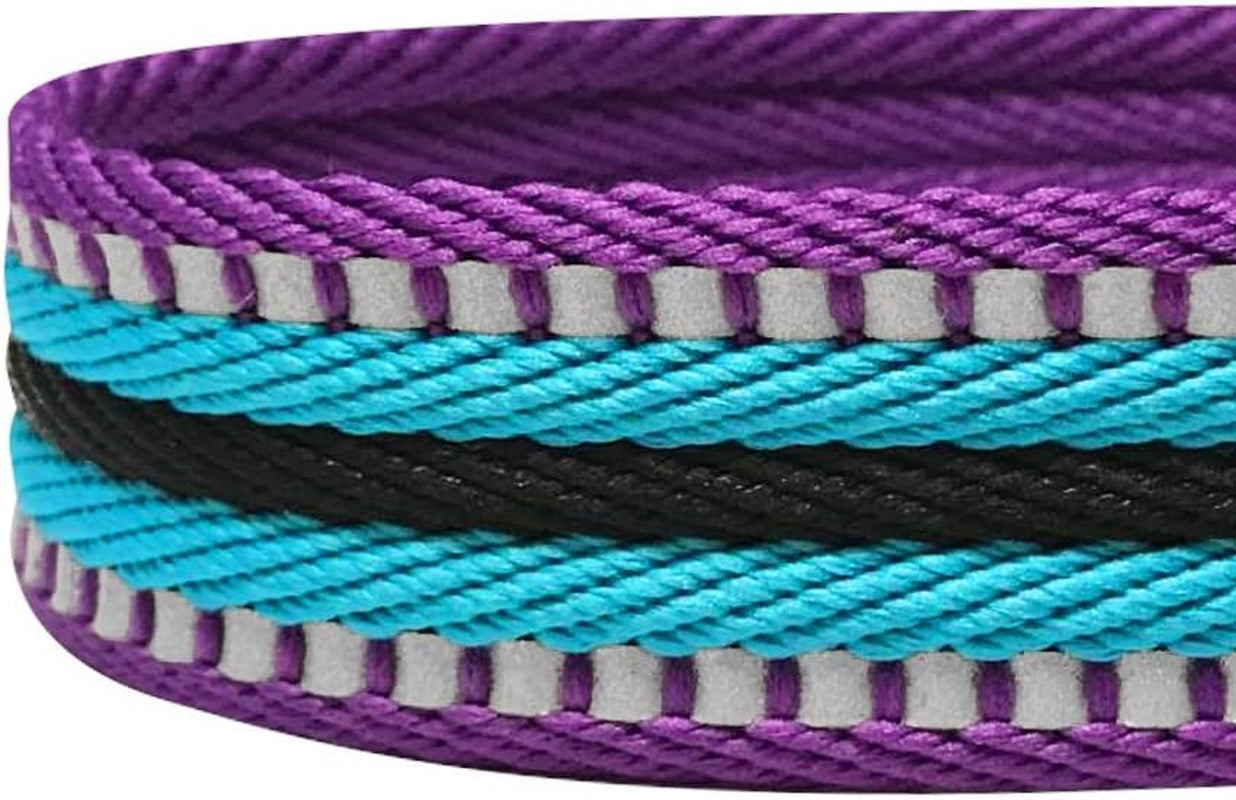 4 Colors 3M Reflective Multi-Colored Stripe Martingale Safety Training Dog Collar, Violet and River Blue, Medium, Heavy Duty Adjustable Collars for Dogs