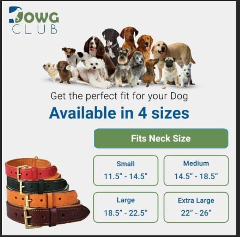 Genuine Leather Dog Collar | Full Grain, Heavy Duty, Comfortable, Padded, Strong | Best for Pups, Small, Medium, Large & XL Breeds (Small (Fit Neck Size 11.5"-14.5"), Dark Pink)