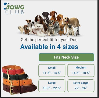Genuine Leather Dog Collar | Full Grain, Heavy Duty, Comfortable, Padded, Strong | Best for Pups, Small, Medium, Large & XL Breeds (Small (Fit Neck Size 11.5"-14.5"), Dark Pink)