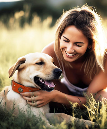 Leather Dog Collar, 2 Inches Wide Heavy Duty Genuine Leather Collars, Handmade, Soft, and Luxury, Eye-Catching Best Choice for Large and Medium Breed Dogs, Orange 18.5-22.5 In
