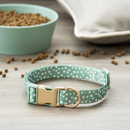 Polka Dot Print Fashion Dog Collar, Metal Buckle, Green, Small