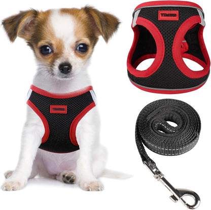 Dog Harness and Leash Set, No Pull Soft Mesh Pet Harness, Reflective Adjustable Puppy Vest for Small Medium Large Dogs, Cats (Pink, X-Small (Pack of 1)