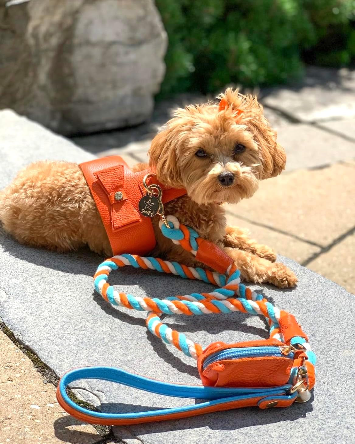 5Ft Braided Cotton Rope Leash with Soft Padded Genuine Leather Handle for Dogs - Handmade Comfort & Cute - Orange | Blue