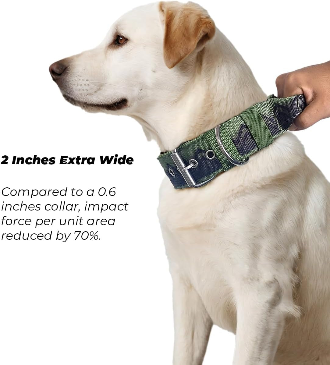 Neckshield Control Dog Collar for Large Dogs-2 Inches Wide with Pressure-Relief Padding, Professional Protection for Large & Giant Breeds, Jungle Night L