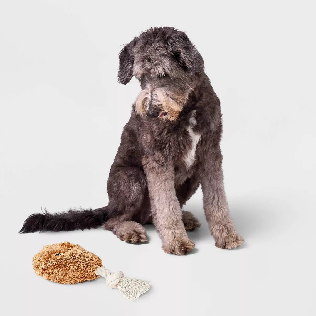 8.5" Chicken Drummie Dog Plush and Rope Toy - Boots & Barkley™