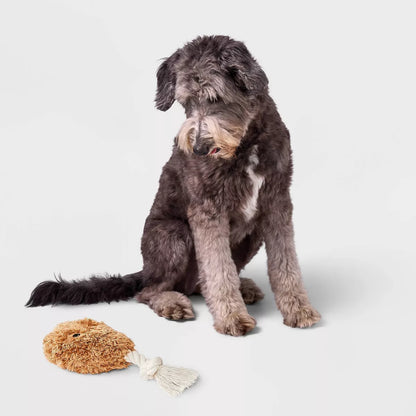 8.5" Chicken Drummie Dog Plush and Rope Toy - Boots & Barkley™