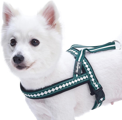 Reflective Jacquard Dog Collar with Neoprene Padding & Metal Buckle | Soft & Adjustable Safety Collar - Olive, Neck 13-16.5", for Medium Breed