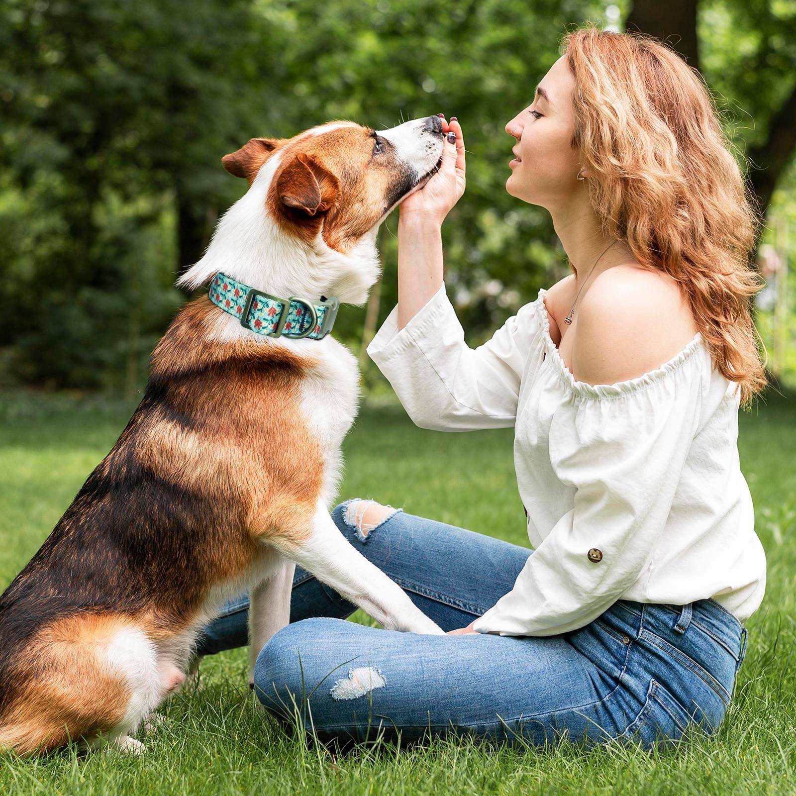 Cute Dog Collar, Cyan Flower Pattern, Soft Nylon Pet Collars for Small Medium Large Dogs, L