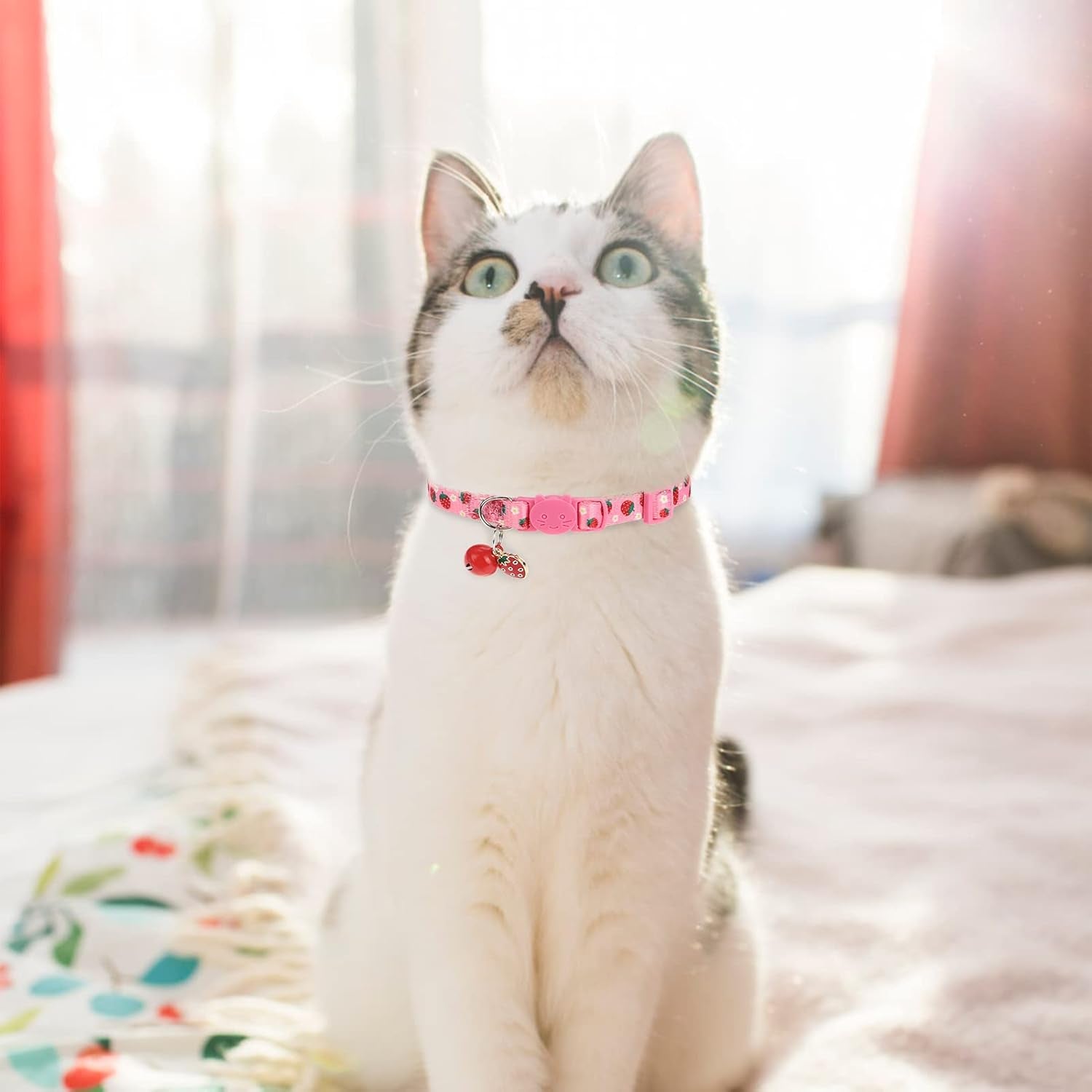 Breakaway Cat Collars with Bell & Cute Pendants, 3 Pack Safety Buckle Kitten Collars, Adjustable Pet Collar Ideal for Girl Boy Cats Puppy (Fruit Pattern)