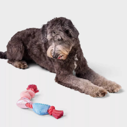 17" Hearts on Rope Plush Dog Toy - Boots & Barkley™