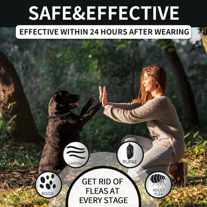 4-Pack Waterproof Flea & Tick Collars for Dogs - 32-Month Long-Lasting Pest Protection for All Breeds