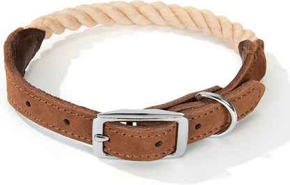 | Genuine Leather Dog Collar | Heavy Duty Canvas Dog Collars with Adjustable Rust-Proof Metal Pin Buckle | Boy Dog Collars for Medium Dogs(Pin Buckle-Turquoise Green)