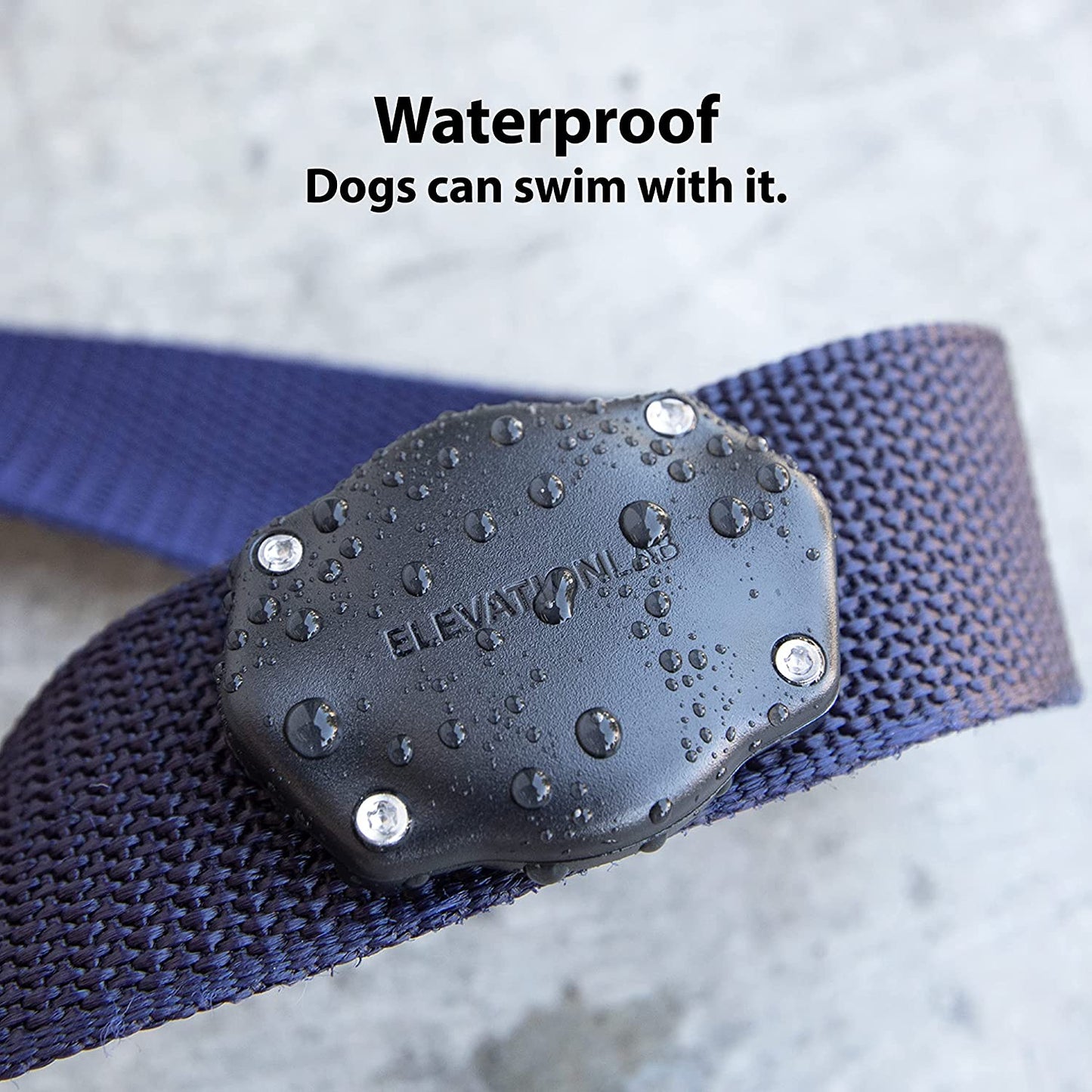Airtag Dog Collar Holder - Tagvault™ - Secure Thru-Mount, IP69 Waterproof, Doesn'T Dangle, Fits All Width Collars