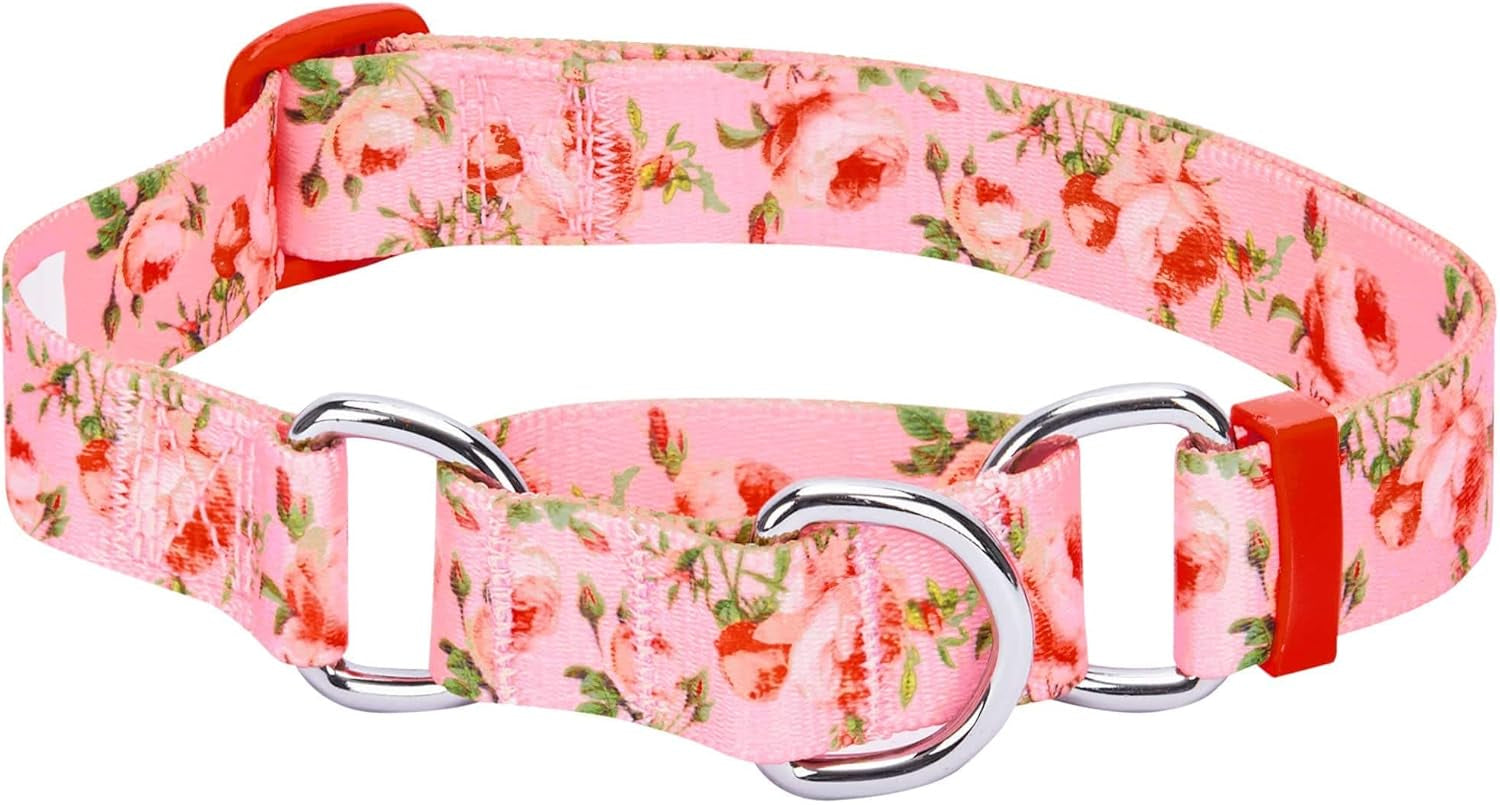 Spring Scent Inspired Rose Print Martingale Safety Training Dog Collar, Turquoise, Small, Heavy Duty Adjustable Collars for Dogs