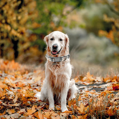 Dog Collars, Plaid Print Pet Collar Durable Metal Collar Soft Girl Boy Dog Collars Adjustable Dog Collar for Large Dogs