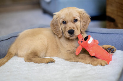 Smiling Loofa Plush Dog Toy with Squeaker, 6 Inch