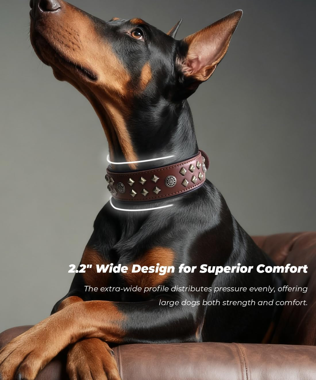 Eliteguard Genuine Leather Dog Collar, 2.2-Inch Handmade Studded with Stainless Steel Buckle, Daily Wear for Large Dogs, Brown 14-18.5 In