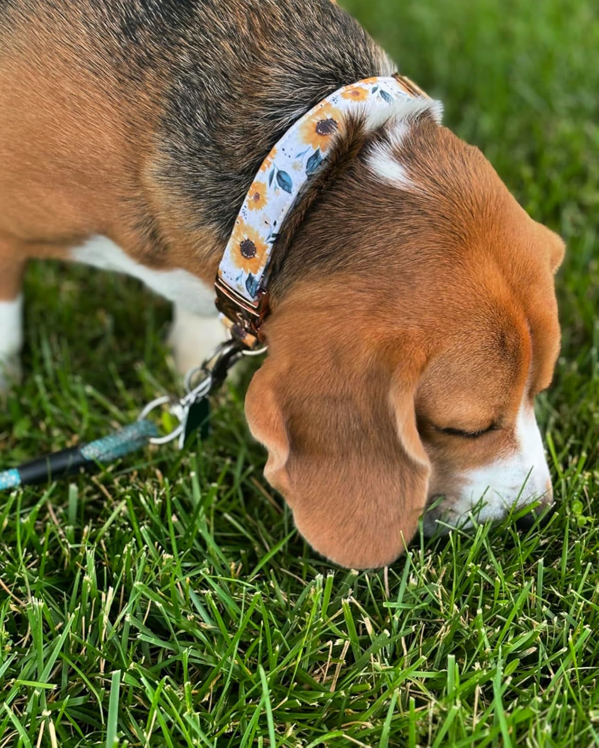 Dog Collar, Sunflower Pattern Pet Collar Durable Cute Dog Collars Summer Fall Female Pet Gift Adjustable Dog Collar for Medium Dogs