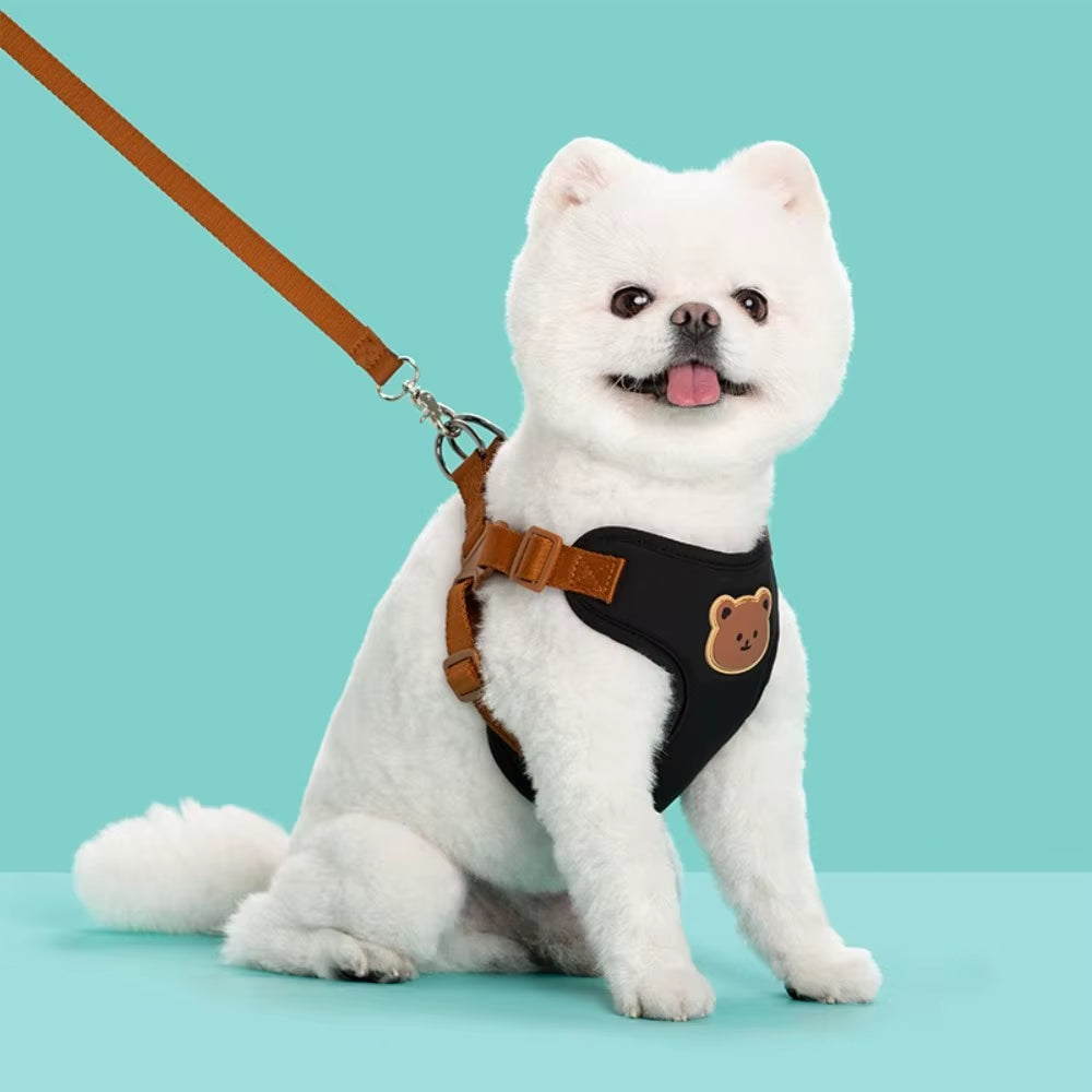 Creative Cute Pet Harness Leash Anti-Escape Adjustable Cat Chest Strap Vest No Pull Dog Collar Harness for Small Medium Dog Cat