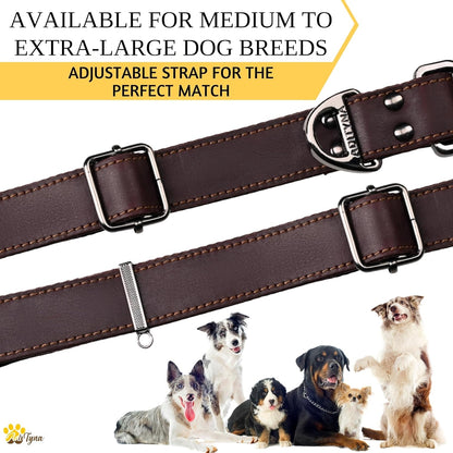 Leather Dog Collar with Metal Buckle - Heavy-Duty, Adjustable for Medium & Large Dogs - Walking, Training, Hiking (Brown, Fits 15-21" Necks)