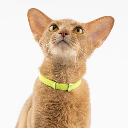 Safety Cat Collar - U.S. IDA Gold Awarding Design, Stretch Elastic Quick Release, Non Breakaway - Light Weight for Kitten, Neck Fit 5.9'-11.8' for All Small Large Cat,S(Cocoa)