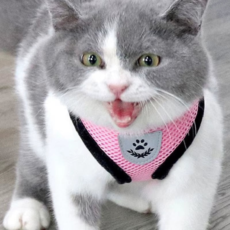 Adjustable Mesh Cute Small Cat Leash Breathable Summer Vest Cat Harness Leash Set Reflective for Small Dog Harness Leash
