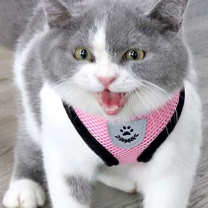 Adjustable Mesh Cute Small Cat Leash Breathable Summer Vest Cat Harness Leash Set Reflective for Small Dog Harness Leash