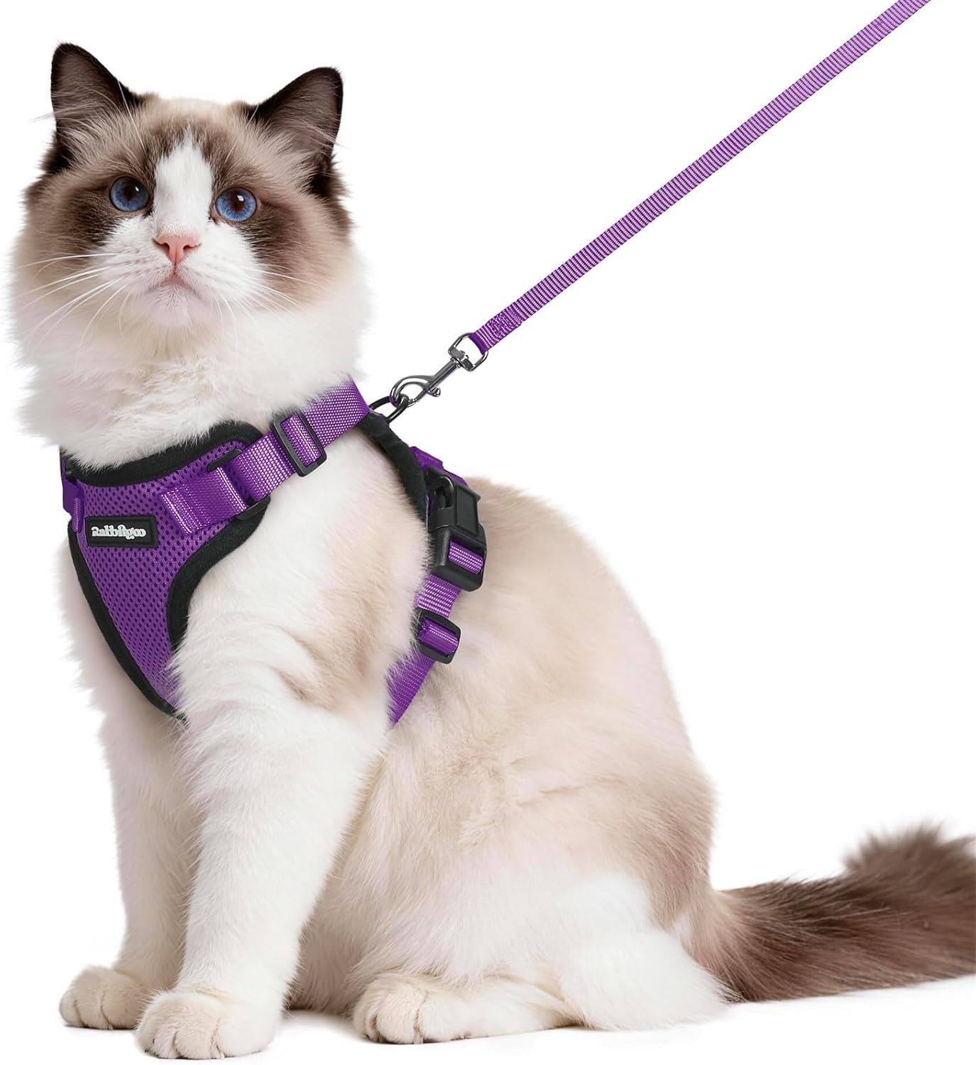 Cat Harness and Leash for Walking, Escape Proof Soft Adjustable Vest Harnesses for Cats, Easy Control Breathable Reflective Strips Jacket, Black, XS