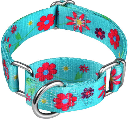 Martingale Dog Collar No Pull Pet Collar Heavy Duty Dog Martingale Collars Silky with Unique Geometric Pattern for Medium and Large Dogs (Large, Turquoise)