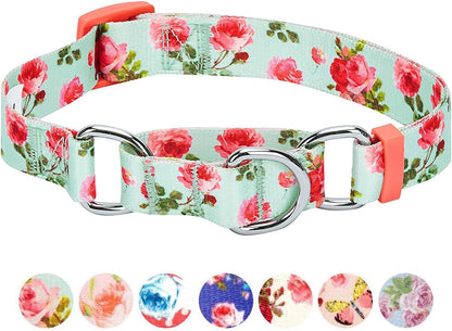 Spring Scent Inspired Rose Print Martingale Safety Training Dog Collar, Turquoise, Small, Heavy Duty Adjustable Collars for Dogs