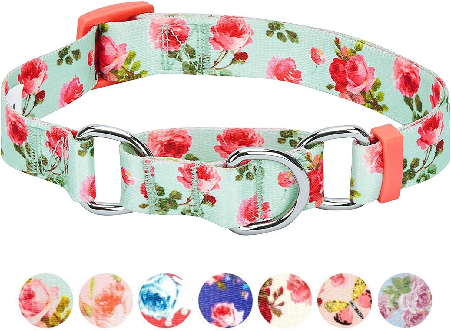 Spring Scent Inspired Rose Print Martingale Safety Training Dog Collar, Turquoise, Small, Heavy Duty Adjustable Collars for Dogs
