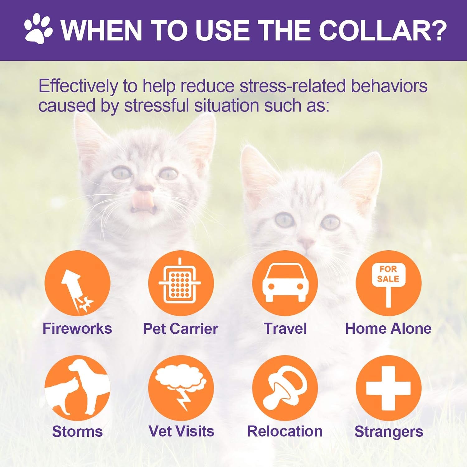 4 Pcs Cat Calming Collar Adjustable Pheromones Scent Relaxing Cat Collar with 2 Pendant for Puppies Reduce Stress Aggression Anxious, up to 15 Inches(Purple, Gold)