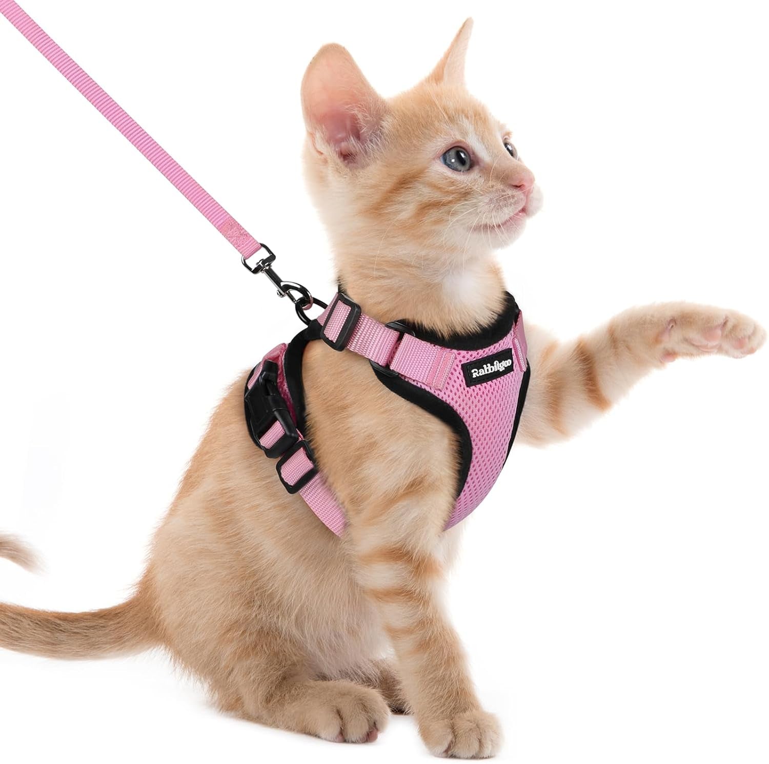 Cat Harness and Leash for Walking, Escape Proof Soft Adjustable Vest Harnesses for Cats, Easy Control Breathable Reflective Strips Jacket, Black, XS