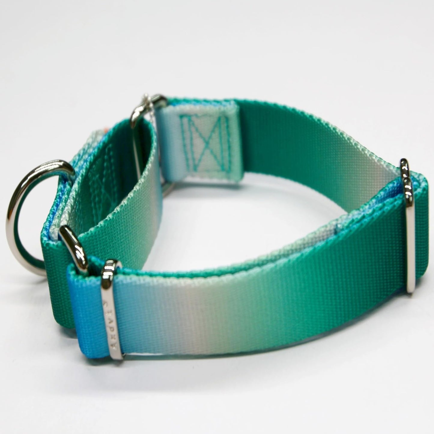 Martingale Dog Collar Colorful Gradient Fashionable - Anti-Escape Soft Durable Pets Collar for Walking Training Outdoor Daily Use -Medium,Turquoise Gradient