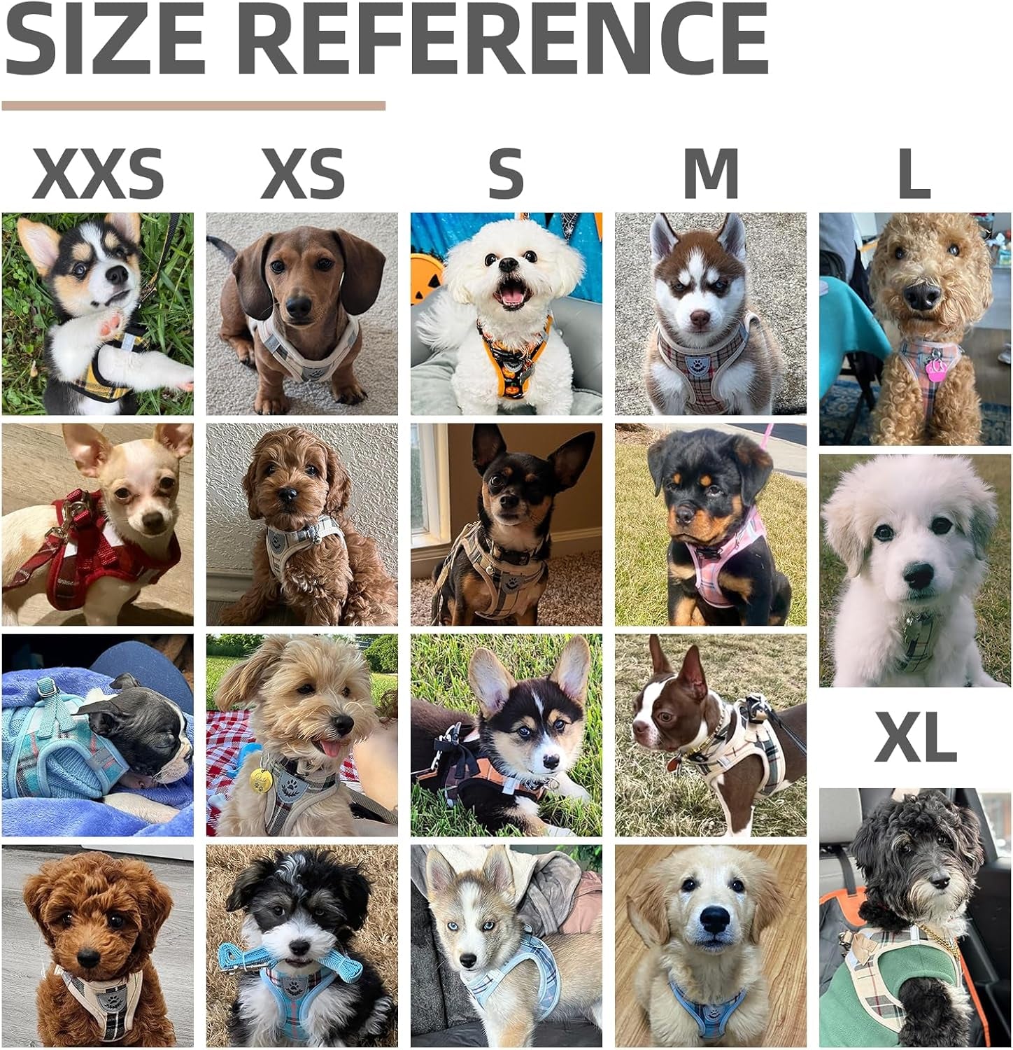 Adjustable Pet Harness Collar &Leash Set Step in for Small Dogs Puppy &Cats Outdoor Training &Running, Soft Mesh Padded Reflective Vest Harness,M: Chest Girth: 16-18In Collar: 11.8-15.7In