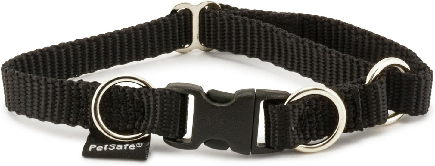 Keepsafe Collar for Dogs - Protects against Collar Accidents - Long Lasting - Durable - Adjustable - Breakaway - Outdoor-Safe - Large - 1 In. Wide - Black