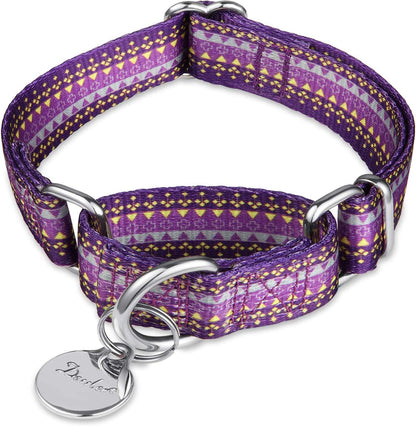 Martingale Dog Collar No Pull Pet Collar Heavy Duty Dog Martingale Collars Silky with Unique Geometric Pattern for Medium and Large Dogs (Large, Turquoise)