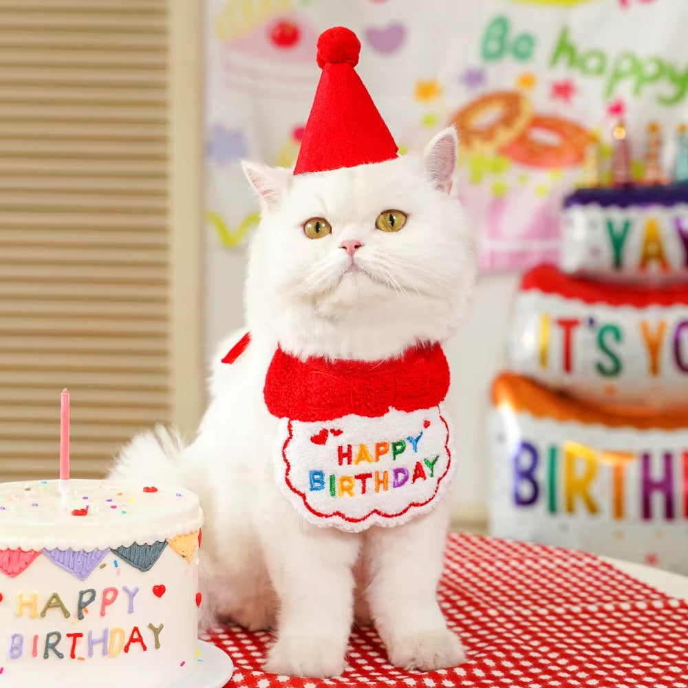 2Pcs Cat Dog Birthday Bandana Scarf and Party Hat Pet Birthday Bib and Hat Cat Birthday Outfit Pet Birthday Decorations Set