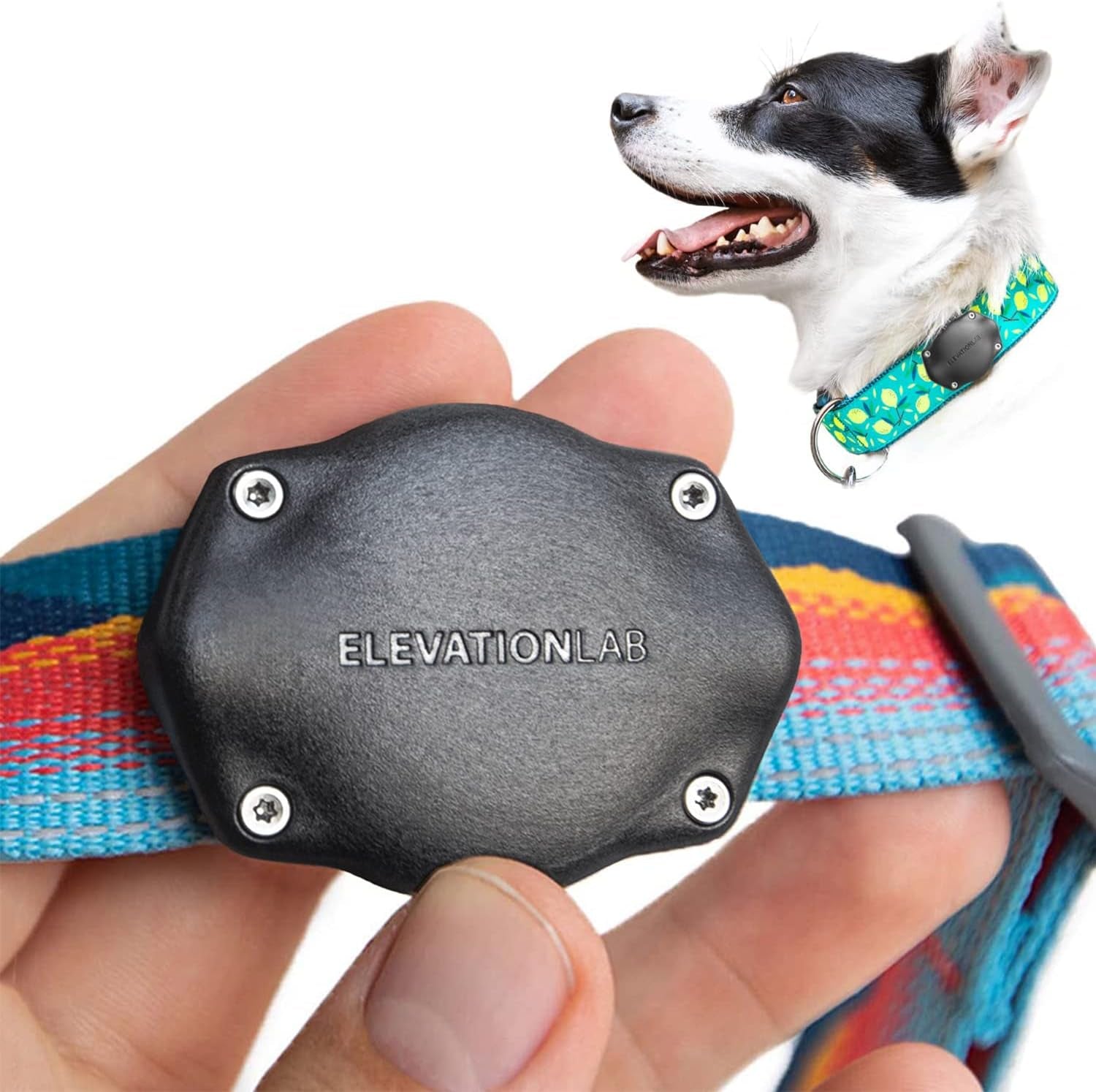 Airtag Dog Collar Holder - Tagvault™ - Secure Thru-Mount, IP69 Waterproof, Doesn'T Dangle, Fits All Width Collars