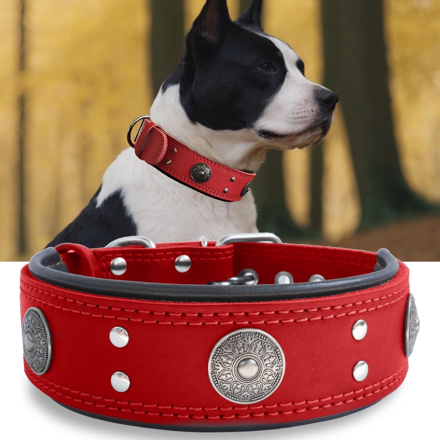 Leather Dog Collar, 2 Inches Wide Heavy Duty Genuine Leather Collars, Handmade, Soft, and Luxury, Eye-Catching Best Choice for Large and Medium Breed Dogs, Orange 18.5-22.5 In